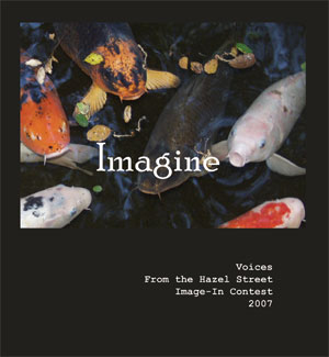 Imagine book cover